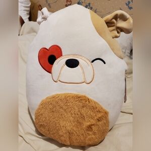 Cute "Brock" dog squishmallow